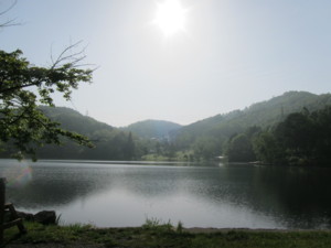 f:id:lupoGTI:20140524225533j:image