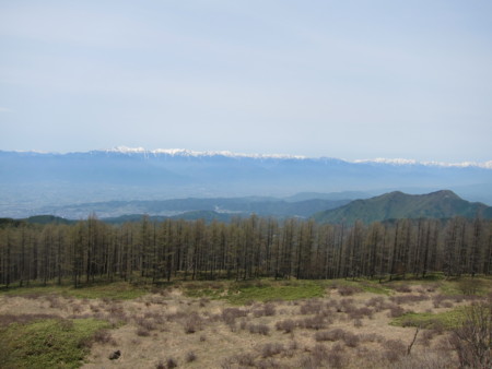 f:id:lupoGTI:20140524230126j:image