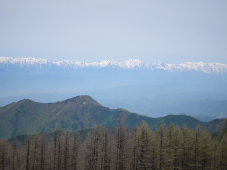 f:id:lupoGTI:20140524230333j:image