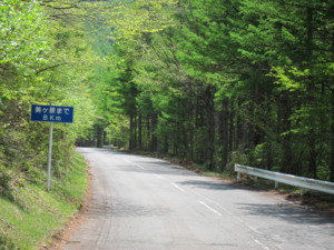 f:id:lupoGTI:20140524230727j:image