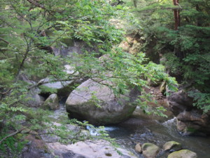 f:id:lupoGTI:20140712153223j:image