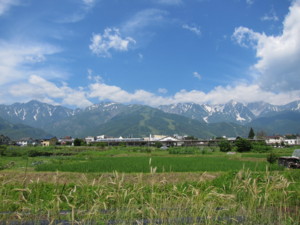 f:id:lupoGTI:20140712154153j:image