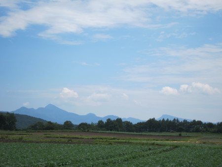 f:id:lupoGTI:20140802204735j:image
