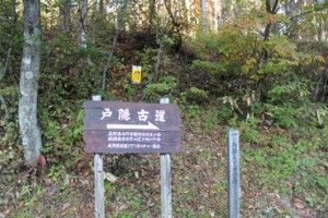 f:id:lupoGTI:20141019213617j:image