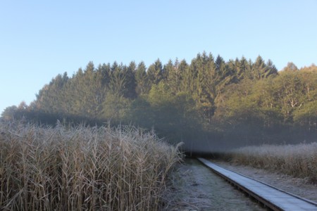 f:id:lupoGTI:20141019213635j:image