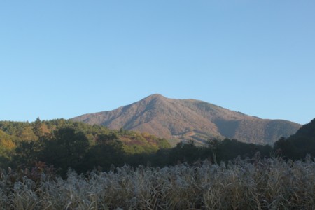 f:id:lupoGTI:20141019213651j:image