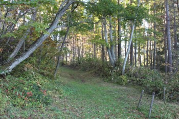 f:id:lupoGTI:20141019214019j:image