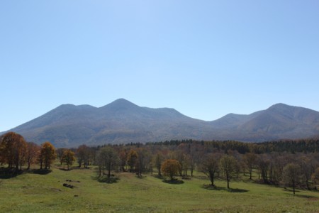 f:id:lupoGTI:20141019215341j:image