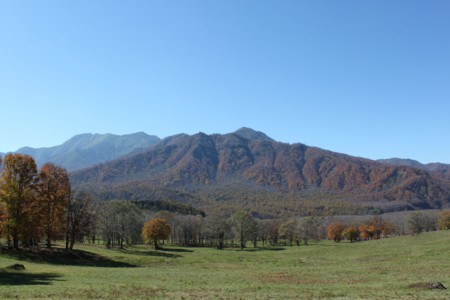 f:id:lupoGTI:20141019215357j:image