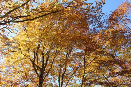 f:id:lupoGTI:20141019215629j:image