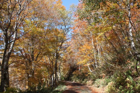 f:id:lupoGTI:20141019215647j:image