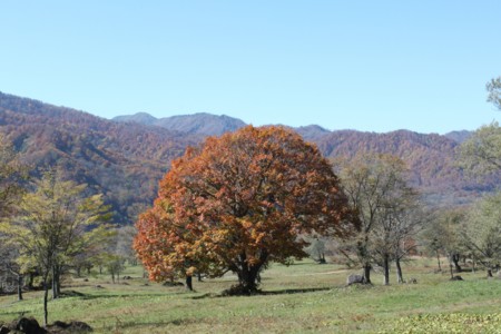 f:id:lupoGTI:20141019215705j:image