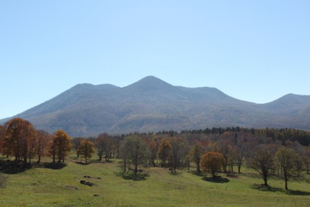 f:id:lupoGTI:20141019215721j:image