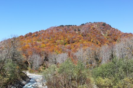 f:id:lupoGTI:20141019220134j:image