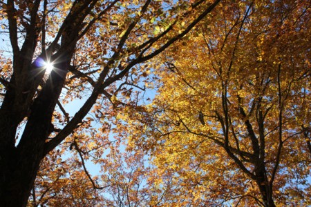 f:id:lupoGTI:20141019220156j:image