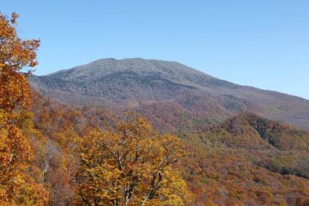 f:id:lupoGTI:20141019220745j:image