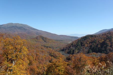 f:id:lupoGTI:20141019220807j:image