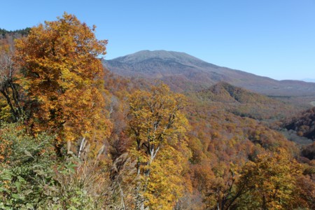 f:id:lupoGTI:20141019220828j:image