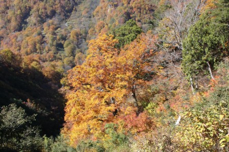 f:id:lupoGTI:20141019221247j:image