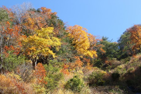 f:id:lupoGTI:20141019221903j:image