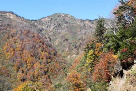 f:id:lupoGTI:20141019221927j:image