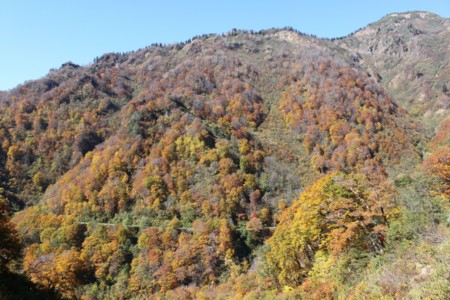 f:id:lupoGTI:20141019221949j:image