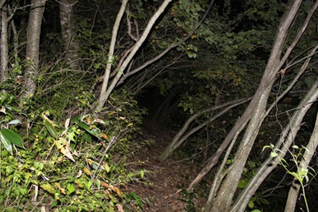 f:id:lupoGTI:20141019222459j:image