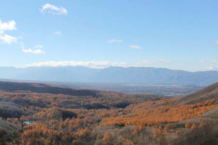 f:id:lupoGTI:20141103174116j:image