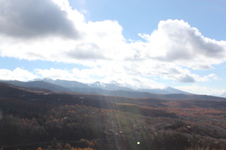 f:id:lupoGTI:20141103174247j:image