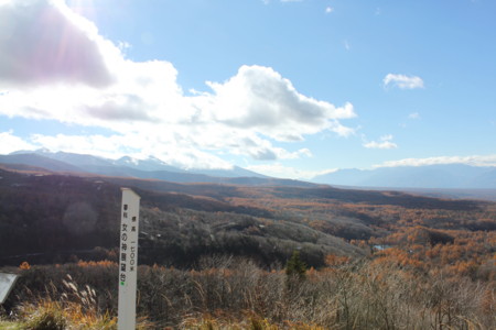 f:id:lupoGTI:20141103174307j:image