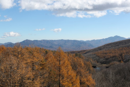 f:id:lupoGTI:20141103174559j:image