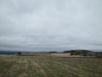 f:id:lupoGTI:20150404171036j:image