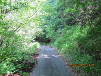 f:id:lupoGTI:20150720114137j:image