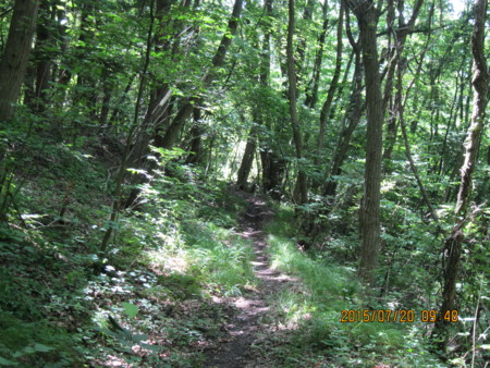 f:id:lupoGTI:20150720114509j:image