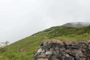 f:id:lupoGTI:20150812154502j:image