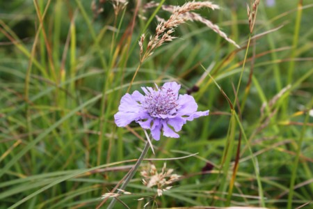 f:id:lupoGTI:20150812155532j:image