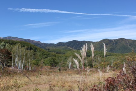 f:id:lupoGTI:20151003213612j:image