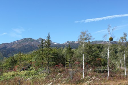 f:id:lupoGTI:20151003213633j:image