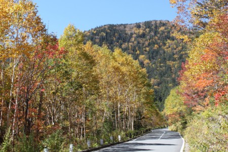 f:id:lupoGTI:20151003214709j:image