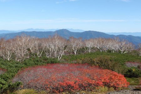 f:id:lupoGTI:20151003215310j:image