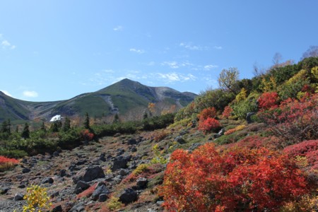 f:id:lupoGTI:20151003215326j:image