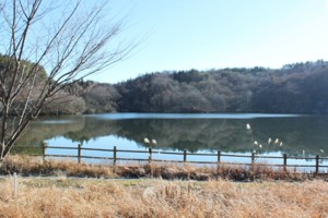 f:id:lupoGTI:20151220145347j:image