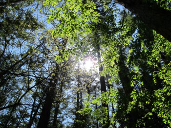 f:id:lupoGTI:20160508134020j:image f:id:lupoGTI:20160508134020j:image