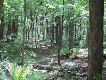 f:id:lupoGTI:20160508134041j:image f:id:lupoGTI:20160508134041j:image