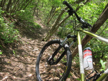 f:id:lupoGTI:20160508135232j:image f:id:lupoGTI:20160508135232j:image