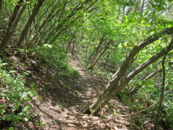 f:id:lupoGTI:20160508135250j:image f:id:lupoGTI:20160508135250j:image