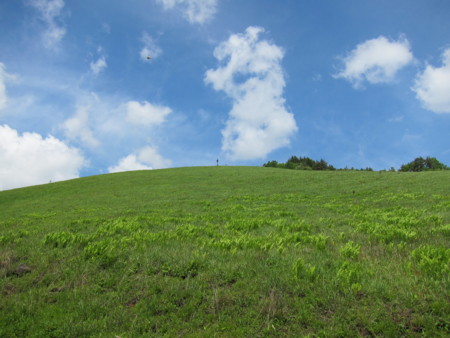 f:id:lupoGTI:20160611162943j:image