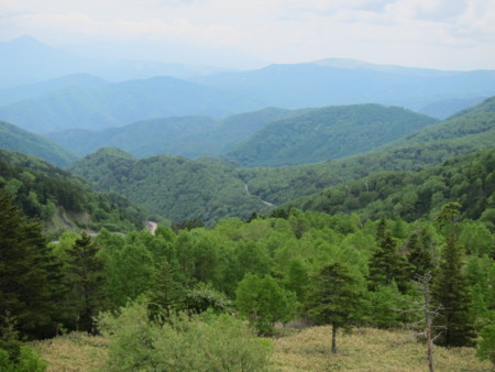 f:id:lupoGTI:20160611165344j:image