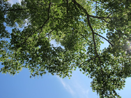 f:id:lupoGTI:20160618171929j:image