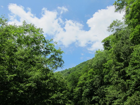f:id:lupoGTI:20160618173808j:image